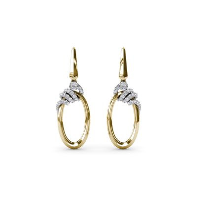Spyre Elegant Earrings